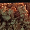 HINT: Easter EGG #1